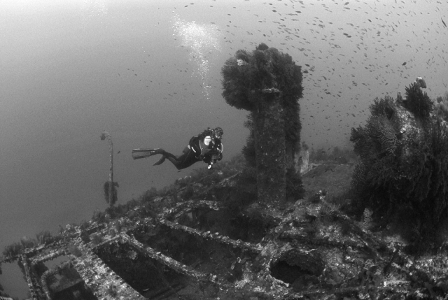Buceo en pecios en Hyères